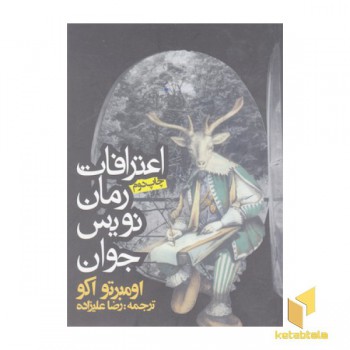 اعتراف یک رمان نویس جوان