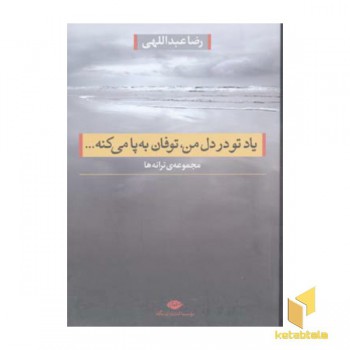 یاد تو در دل من توفان به پا می کنه