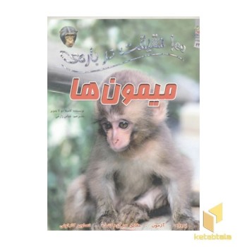 100 حقیقت درباره-میمون ها