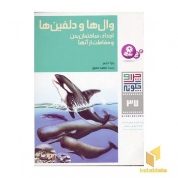 وال ها و دلفین ها - چرا و چگونه(37)