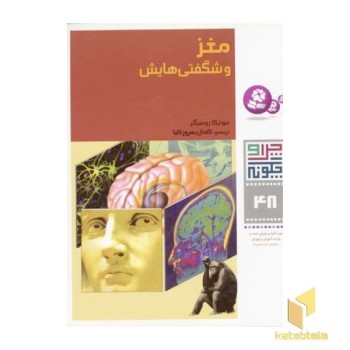 مغز و شگفتی هایش - چرا و چگونه (48)