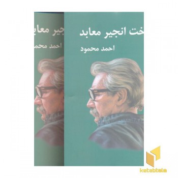 درخت انجیر معابد