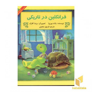 فرانکلین در تاریکی