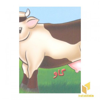 آموزش خردسالان-گاو