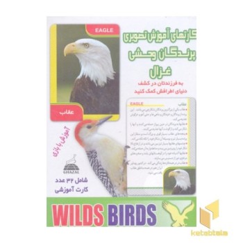 کارتهای آموزش تصویری(پرندگان وحشی)