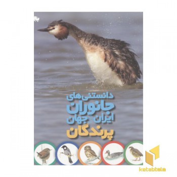 دانستنی های جانوران ایران و جهان - پرندگان